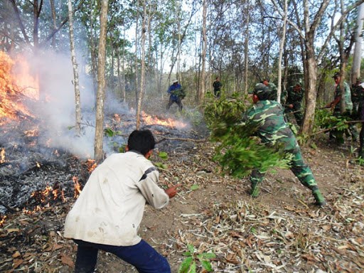 Quyết liệt phòng chống cháy rừng từ đầu mùa khô (27/11/2020)